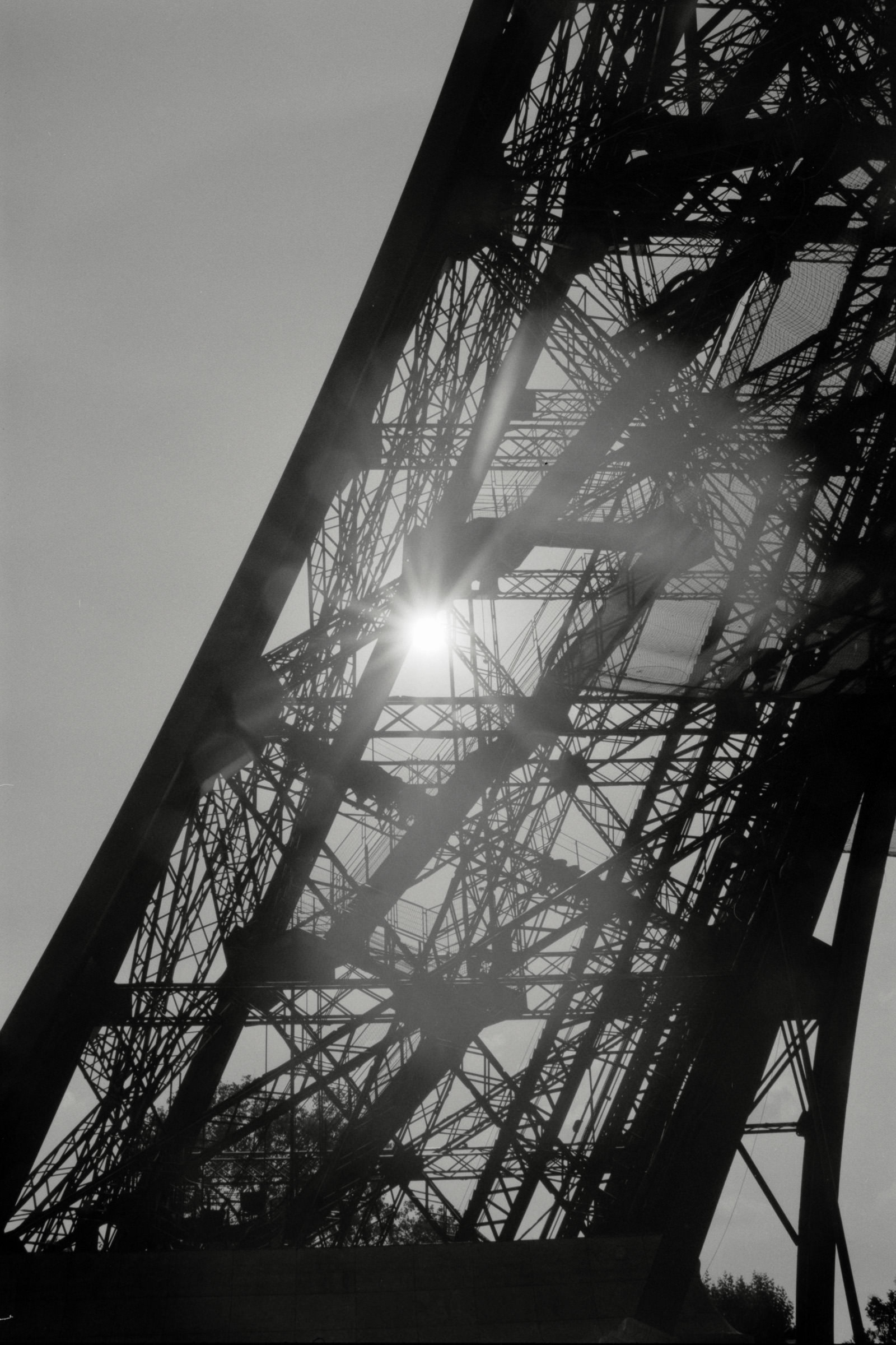 AHP F1990 09 003 sc250506 img03 NLP